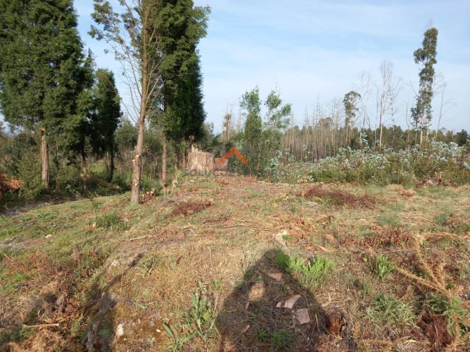 Terreno para Venda em Requeixo, Nossa Senhora de Fátima e Nariz Foto 13