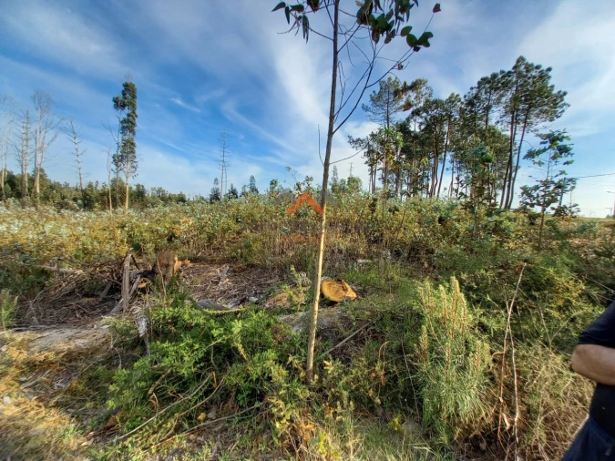 Terreno para Venda em Requeixo, Nossa Senhora de Fátima e Nariz Foto 15
