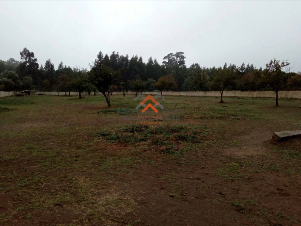 Terreno para Venda em Recardães e Espinhel Foto 3