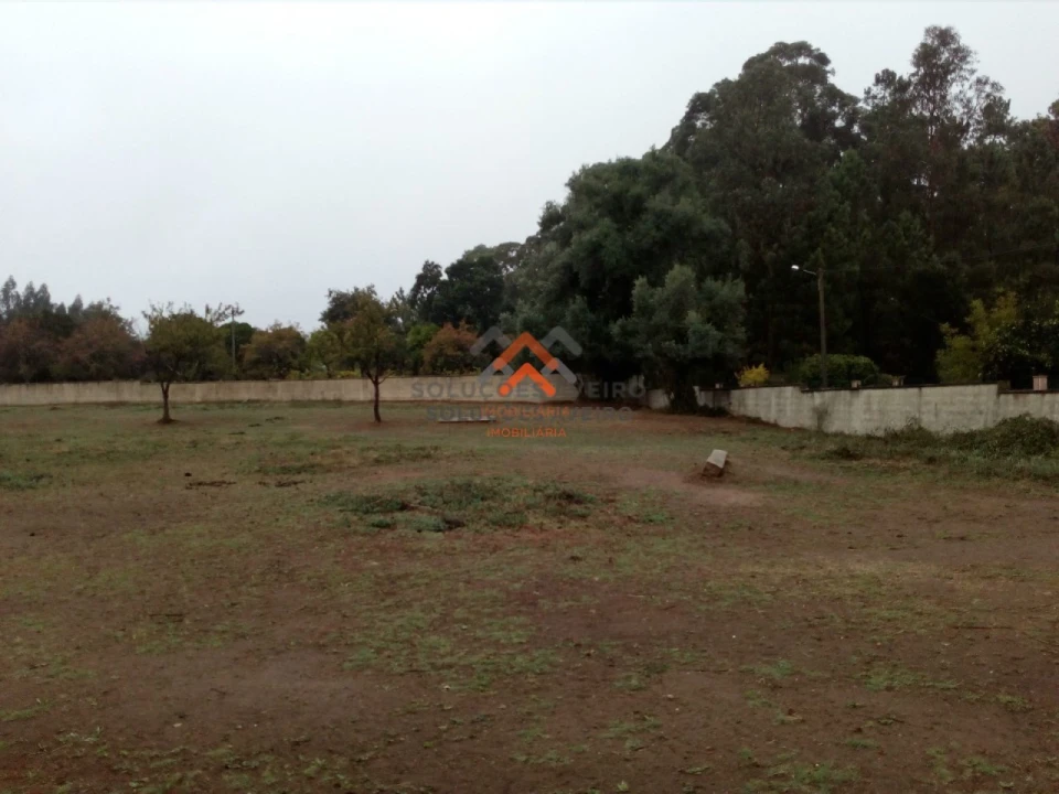 Terreno para Venda em Recardães e Espinhel Foto 6