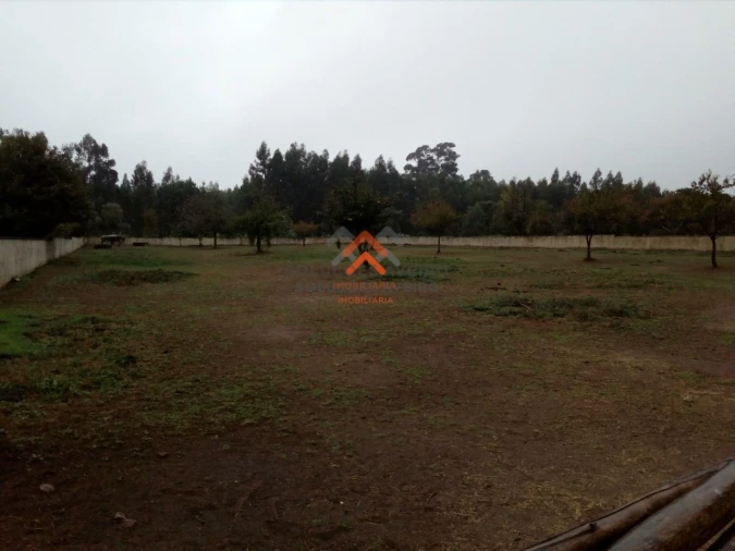Terreno para Venda em Recardães e Espinhel Foto 2