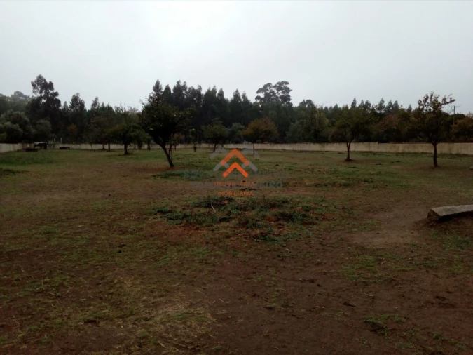 Terreno para Venda em Recardães e Espinhel Foto 3