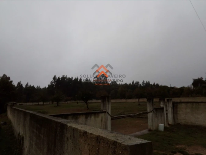 Terreno para Venda em Recardães e Espinhel Foto 4