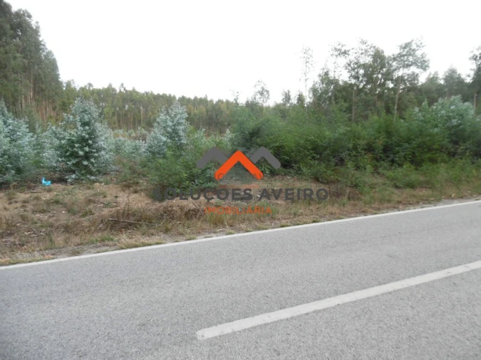 Terreno para Venda em Alquerubim Foto 1