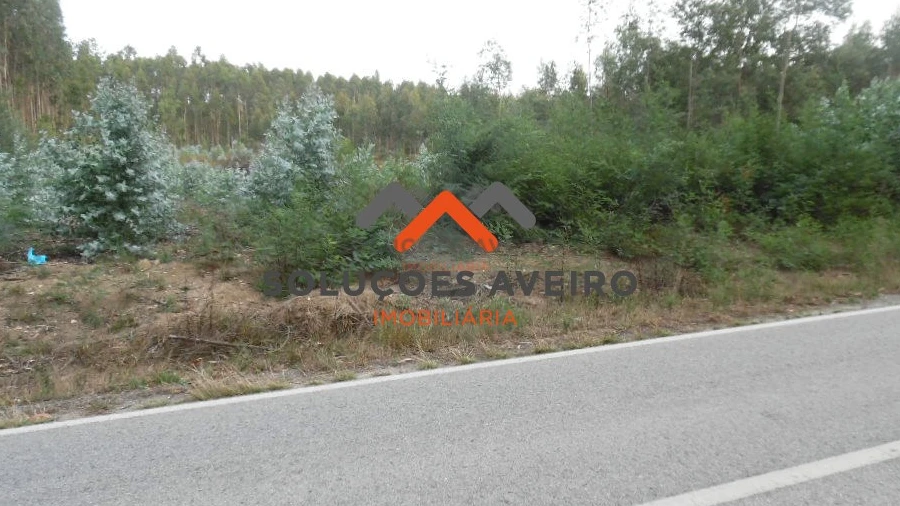 Terreno para Venda em Alquerubim