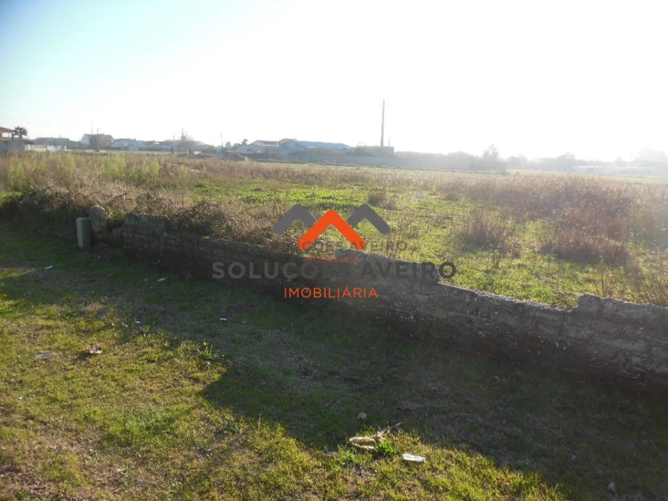 Terreno para Venda em Oliveirinha Foto 3