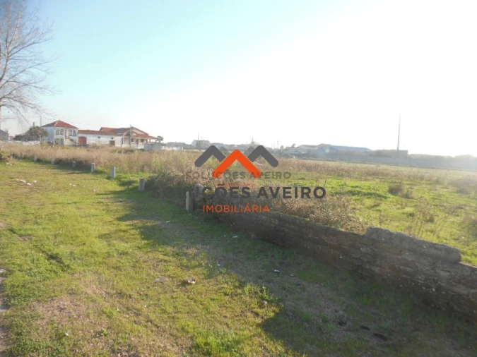 Terreno para Venda em Oliveirinha Foto 4