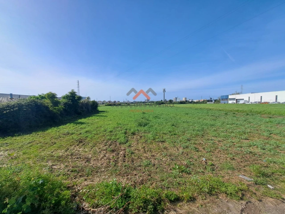 Terreno para Venda em Glória e Vera Cruz Foto 3