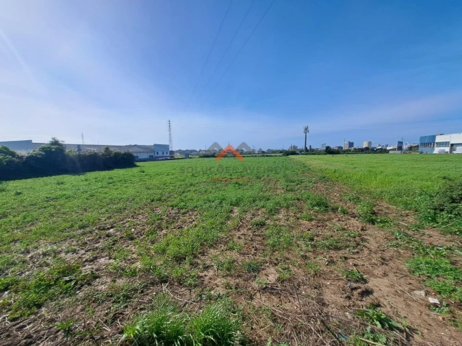 Terreno para Venda em Glória e Vera Cruz Foto 2