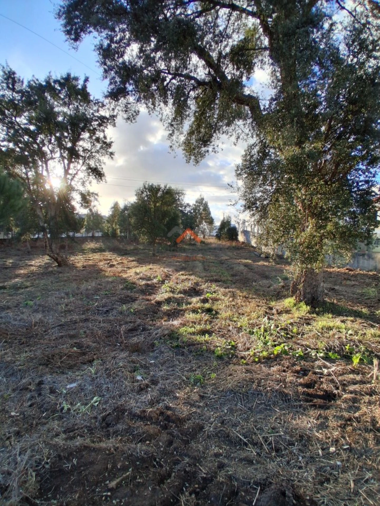 Terreno para Venda em Aguada de Cima Foto 9