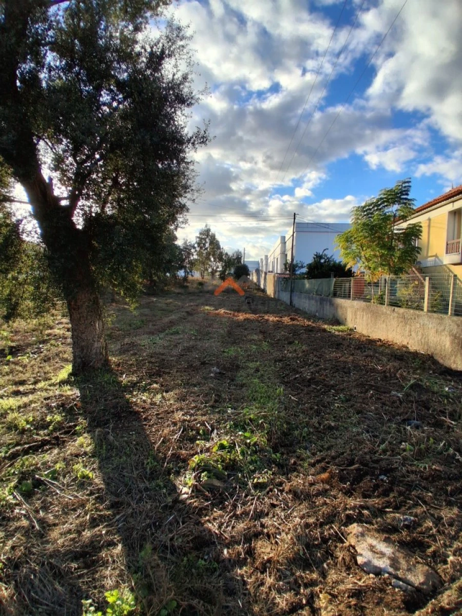 Terreno para Venda em Aguada de Cima Foto 8