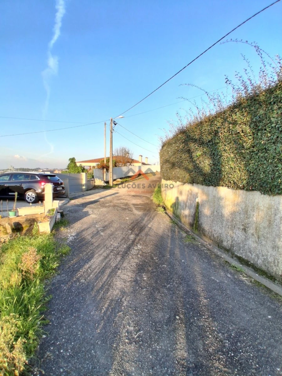 Terreno para Venda em Águeda e Borralha Foto 6