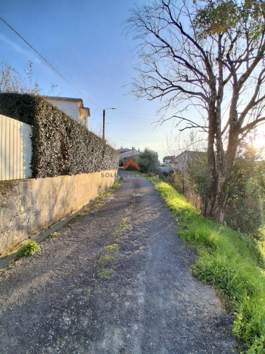 Terreno para Venda em Águeda e Borralha Foto 7