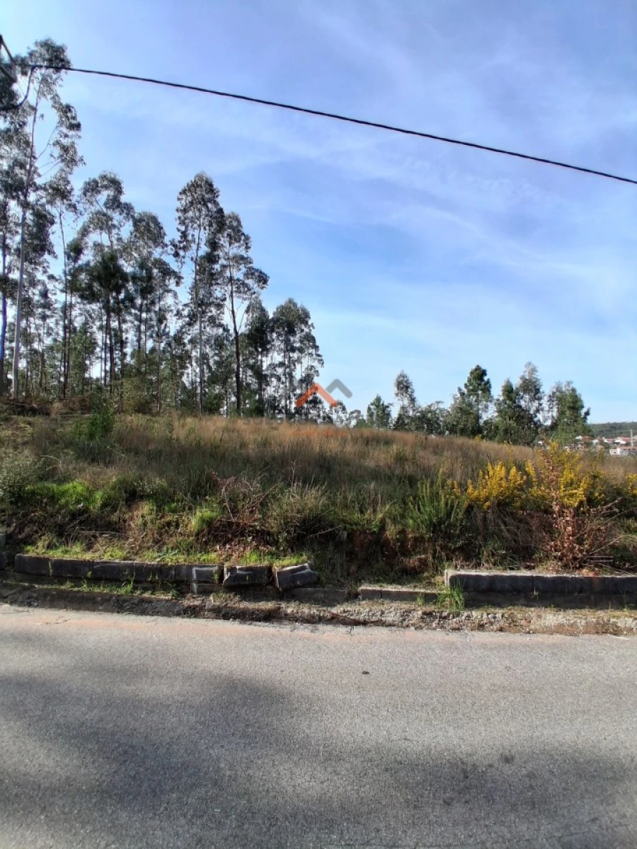 Terreno para Venda em Recardães e Espinhel Foto 13
