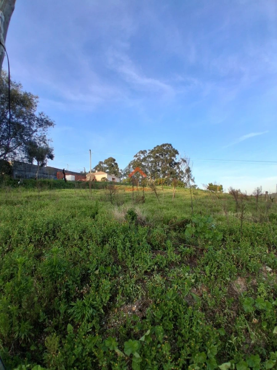Terreno para Venda em Oiã Foto 3