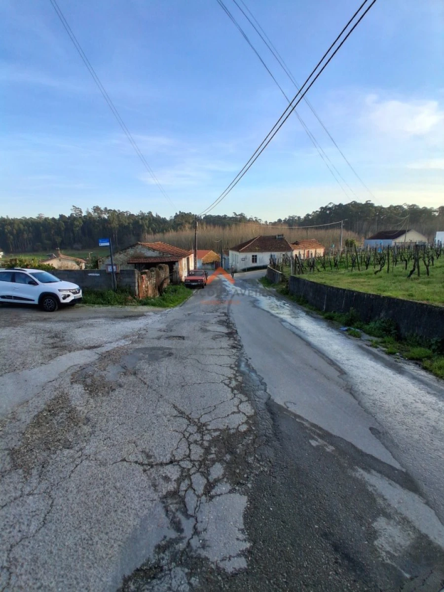 Terreno para Venda em Oiã Foto 4