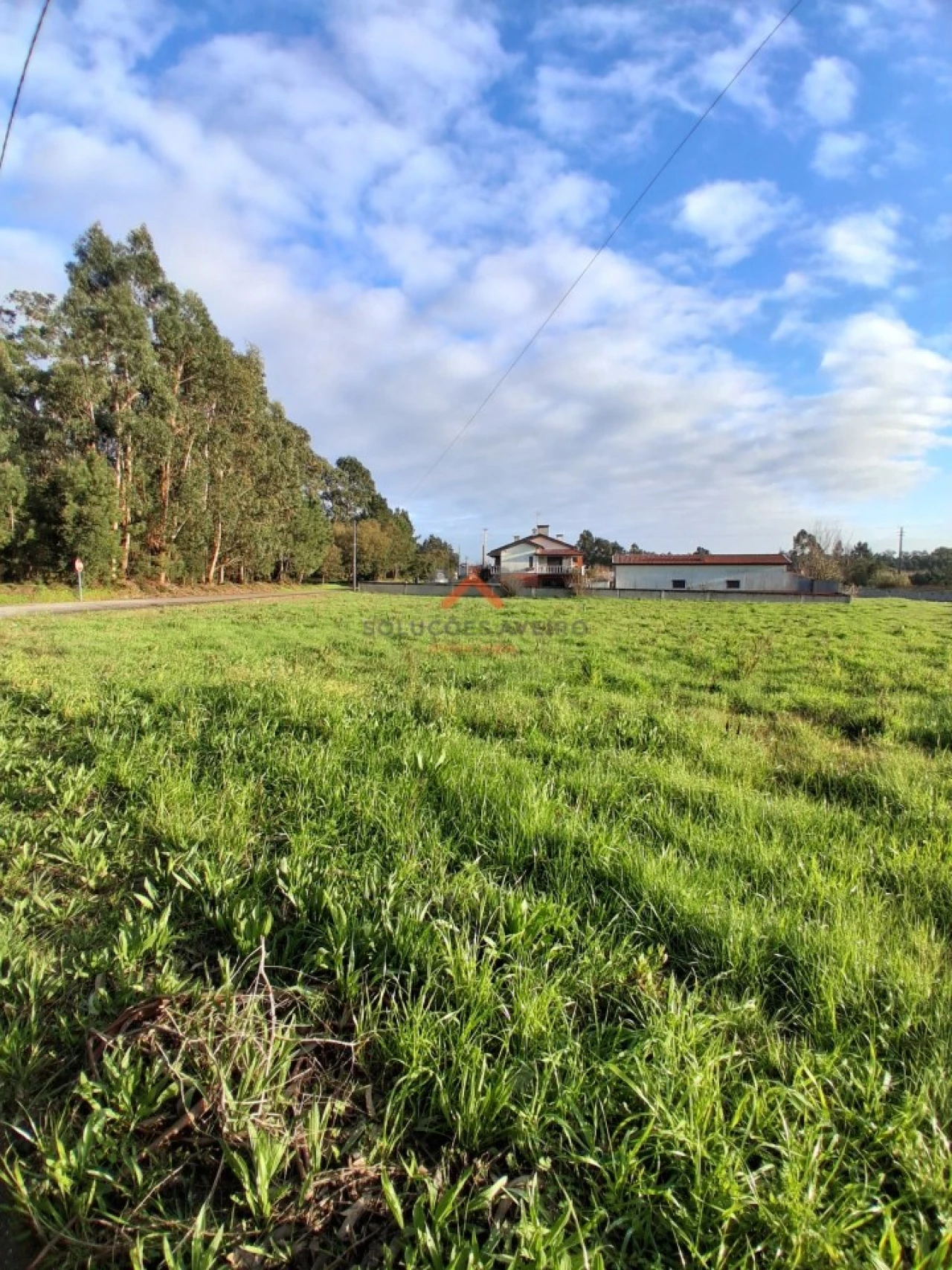 Terreno para Venda em Barrô e Aguada de Baixo Foto 6