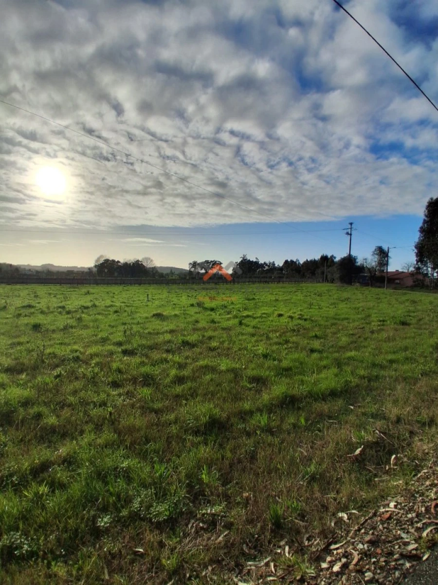 Terreno para Venda em Barrô e Aguada de Baixo Foto 5