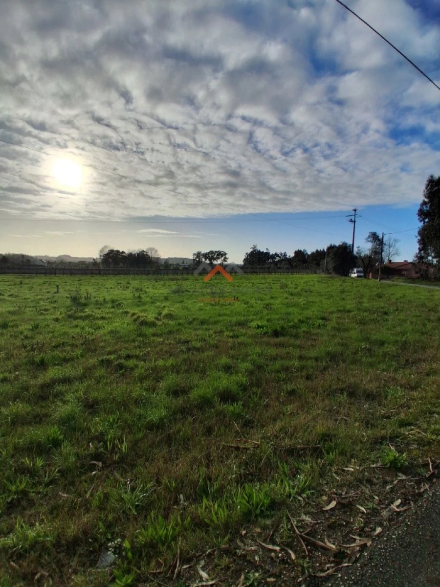 Terreno para Venda em Barrô e Aguada de Baixo Foto 6