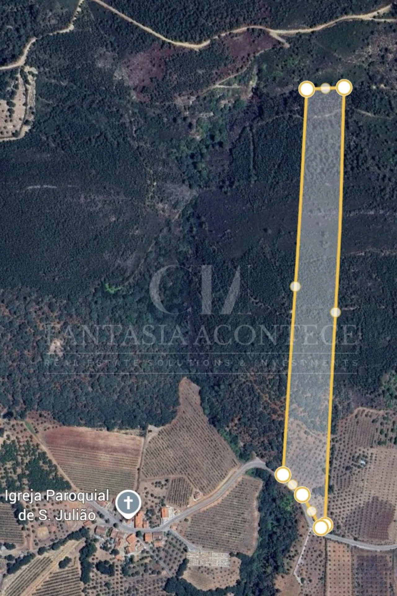 Terreno para Venda em Reguengo e São Julião Foto 3