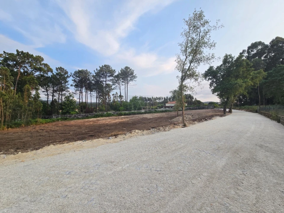 Terreno para Venda em Forjães Foto 10
