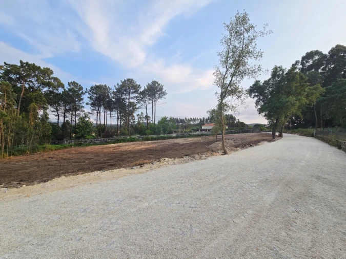 Terreno para Venda em Forjães Foto 10