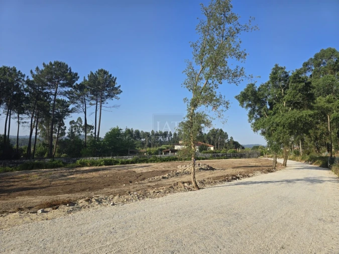 Terreno para Venda em Forjães Foto 9