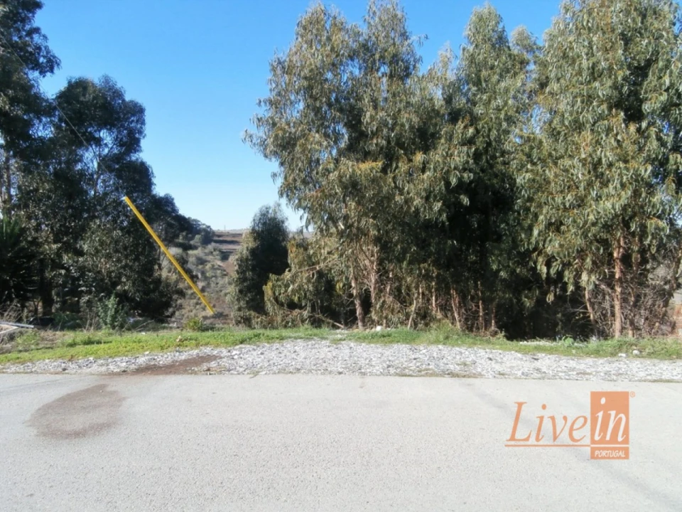 Terreno para Venda em Igreja Nova e Cheleiros Foto 1