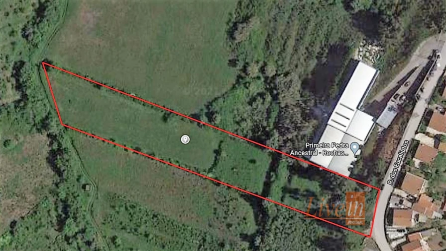 Terreno para Venda em Igreja Nova e Cheleiros Foto 6