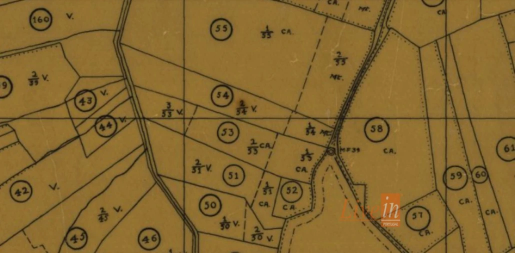 Terreno para Venda em Igreja Nova e Cheleiros Foto 7