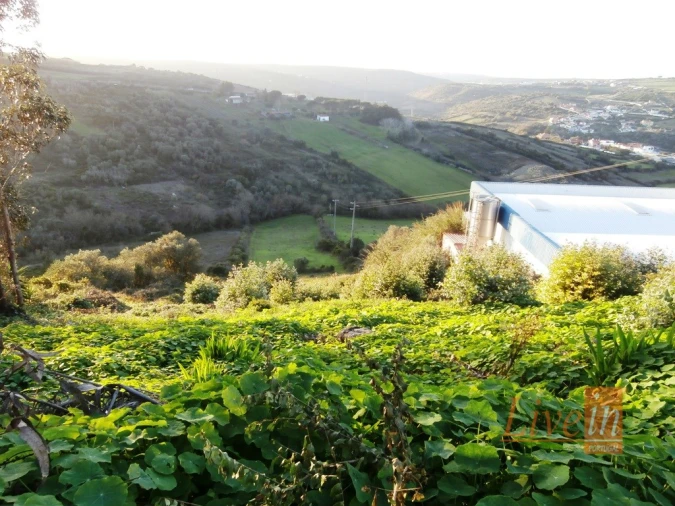Terreno para Venda em Igreja Nova e Cheleiros Foto 3