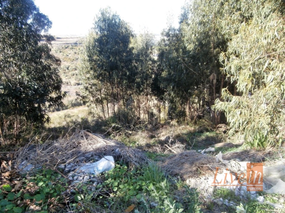 Terreno para Venda em Almargem do Bispo, Pêro Pinheiro e Montelavar Foto 9