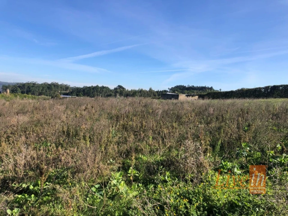 Terreno para Venda em Ericeira Foto 5