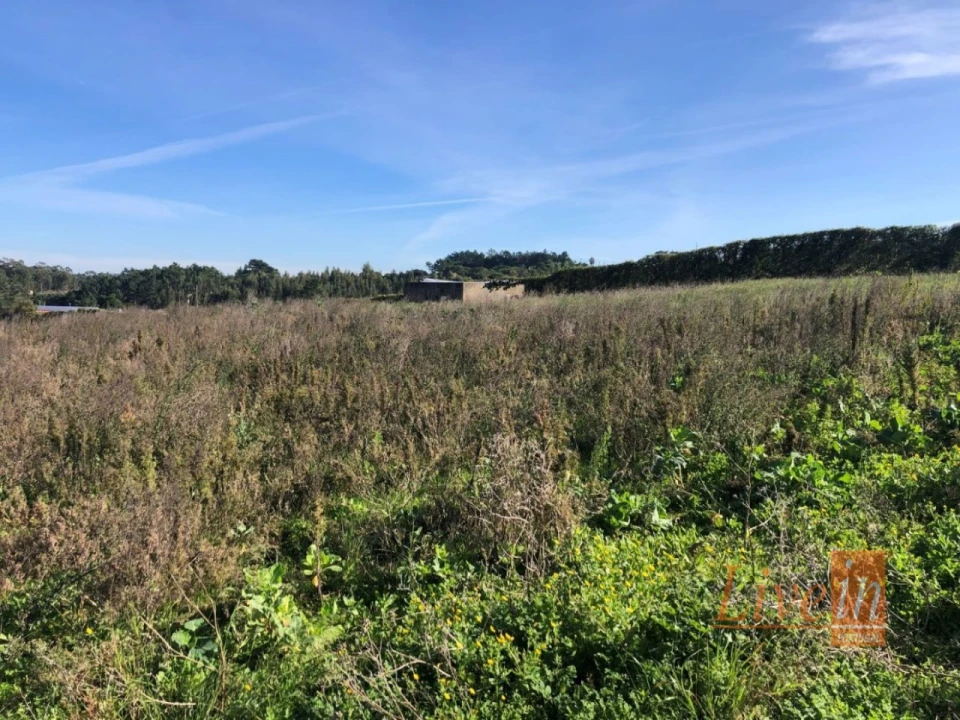 Terreno para Venda em Ericeira Foto 7