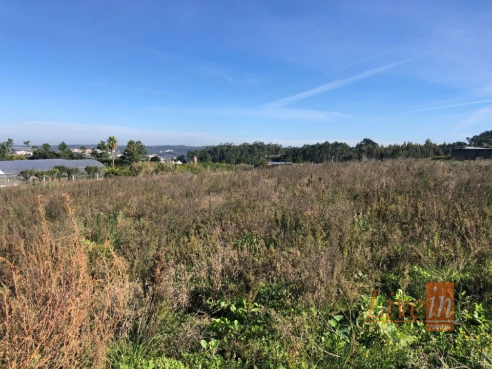 Terreno para Venda em Ericeira Foto 8