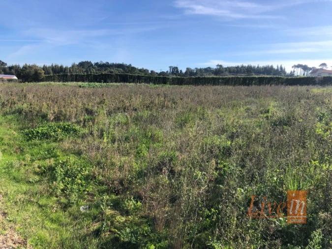 Terreno para Venda em Ericeira Foto 3