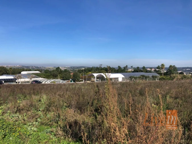 Terreno para Venda em Ericeira Foto 4