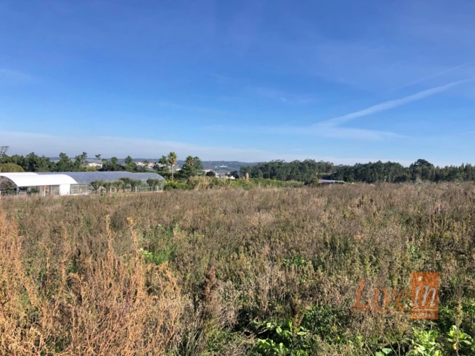 Terreno para Venda em Ericeira Foto 6
