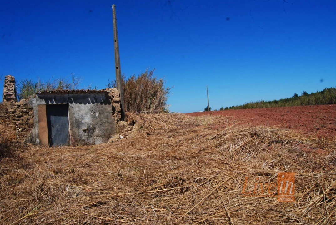 Terreno para Venda em A dos Cunhados e Maceira Foto 10