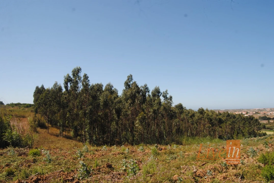 Terreno para Venda em A dos Cunhados e Maceira Foto 12