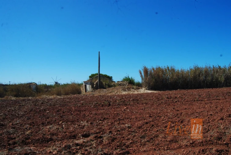 Terreno para Venda em A dos Cunhados e Maceira Foto 4