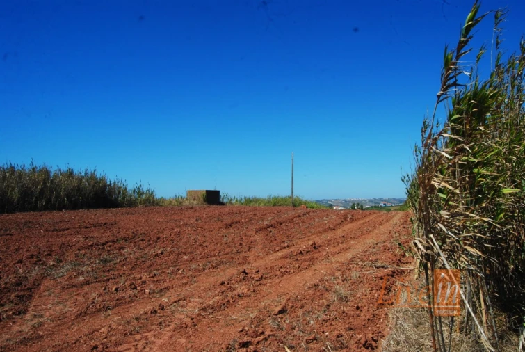 Terreno para Venda em A dos Cunhados e Maceira Foto 5