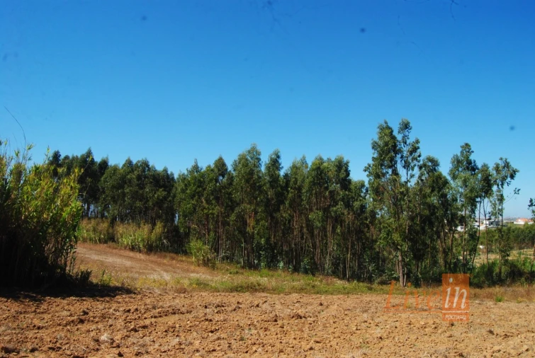 Terreno para Venda em A dos Cunhados e Maceira Foto 15
