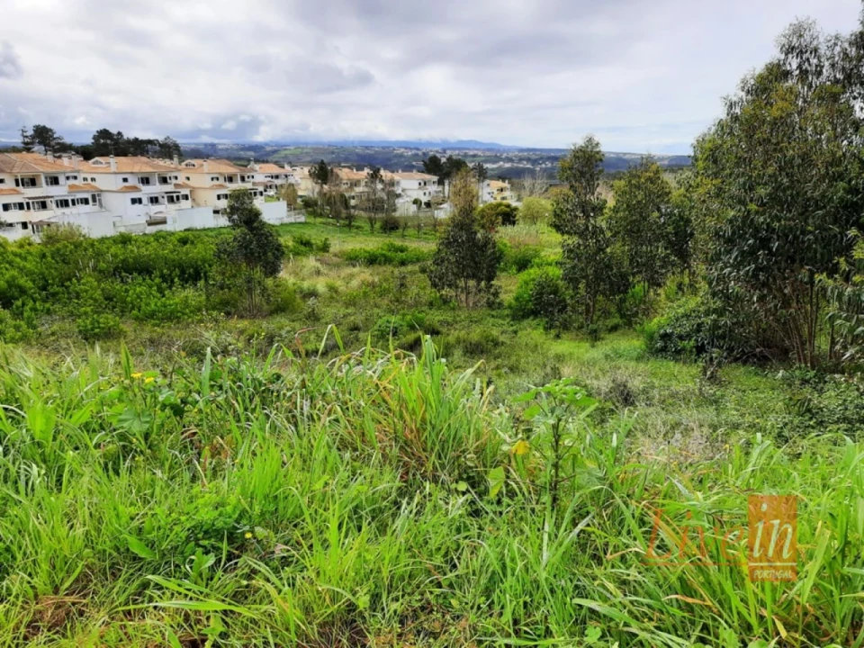 Terreno para Venda em Ericeira Foto 5
