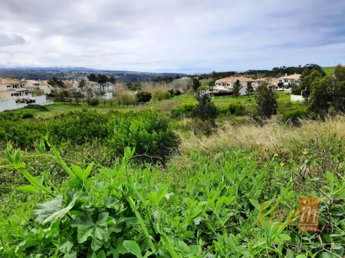 Terreno para Venda em Ericeira Foto 7