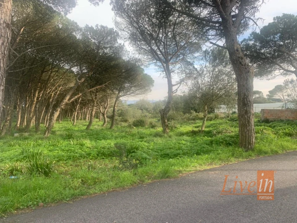 Terreno para Venda em São João das Lampas e Terrugem Foto 4