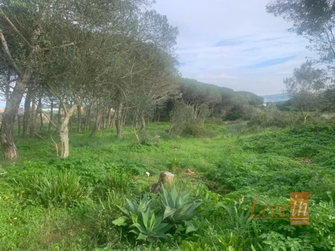 Terreno para Venda em São João das Lampas e Terrugem