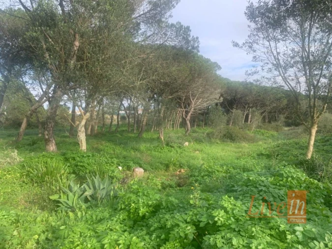 Terreno para Venda em São João das Lampas e Terrugem Foto 2
