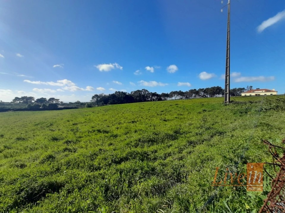 Terreno para Venda em Ericeira Foto 7
