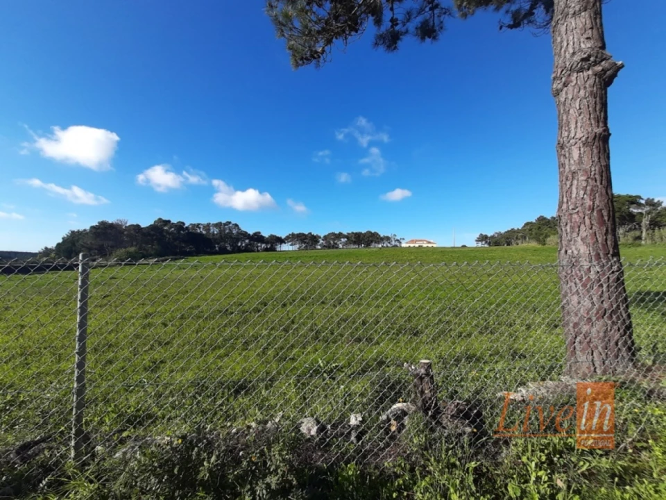 Terreno para Venda em Ericeira Foto 10
